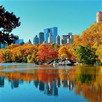 NYC & the Fall Foliage of the Hudson Valley