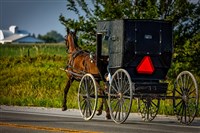 Springtime in Amish Country