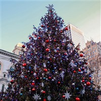 Spotlight on New York City Holiday