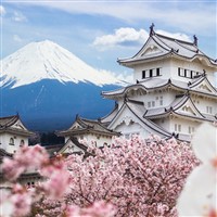 Cultural Treasures of Japan